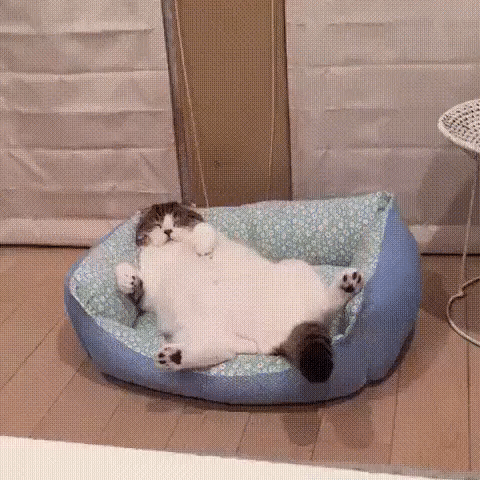 2021-07-18-16-15-54.gif