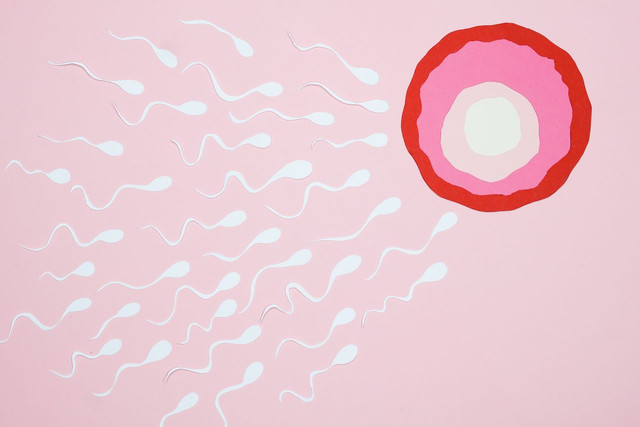 Expert support for low sperm count, sperm motility concerns, male fertility issues, and reproductive health.