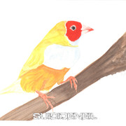Painting14