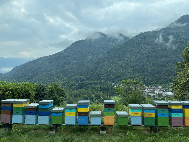 IMG-5998