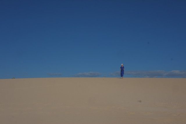 DSCF8532