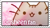 pusheen