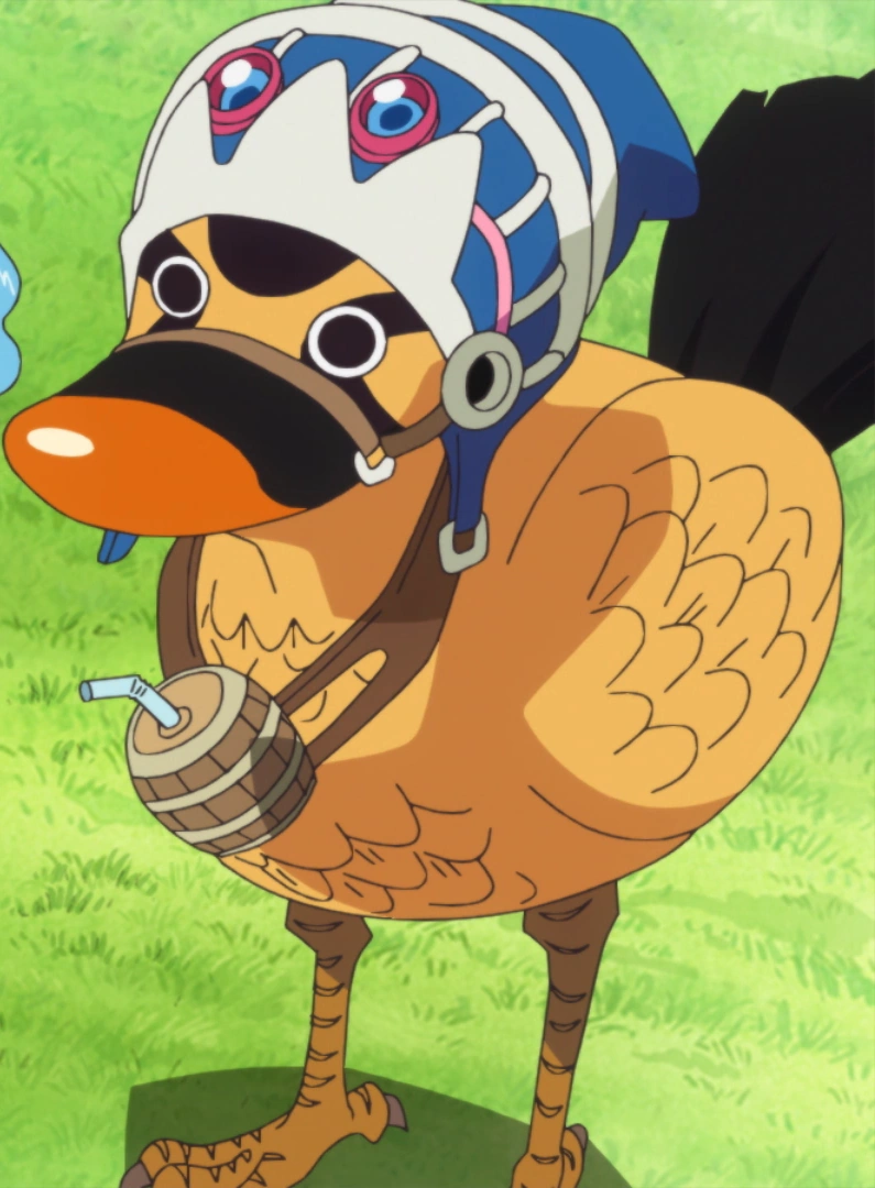 Karoo-Post-Timeskip-Reference