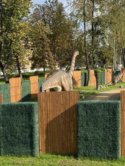 IMG-0764