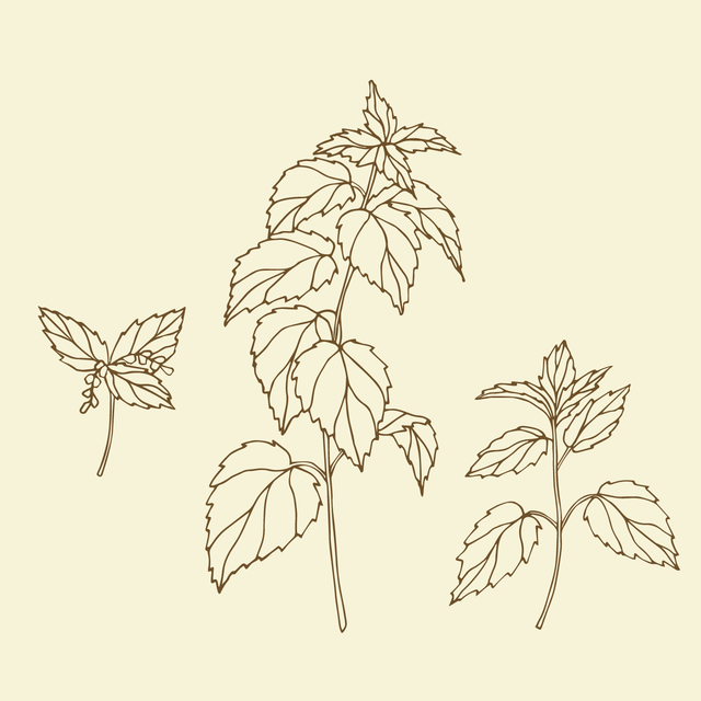 shutterstock-1917748736.png