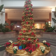 20181214 151511