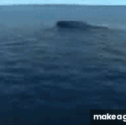 Emergency Blow Submarine.gif