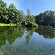 IMG-3419