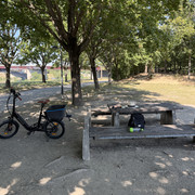 IMG 6246