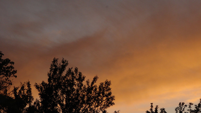 DSC04631.jpg
