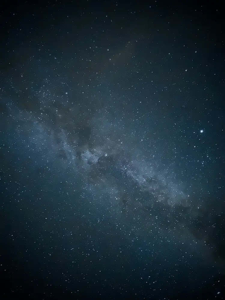 Stars in the Forest