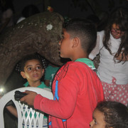 IMG-0961