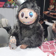IMG 5633