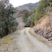 2011-03-11-29