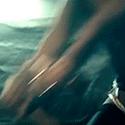 29.gif