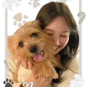 Haewon-Bot-Template8-20250408162705