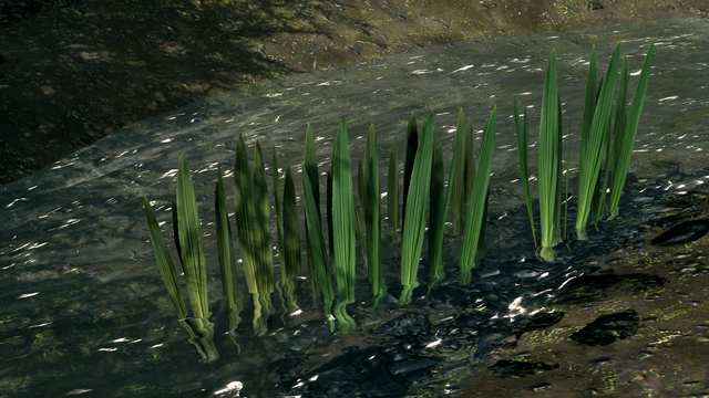 Screen Shot3.png