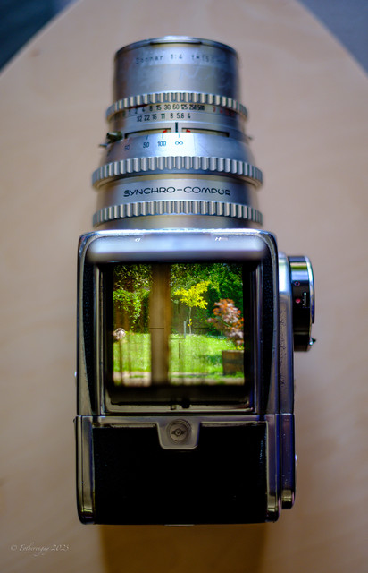 DSF1892