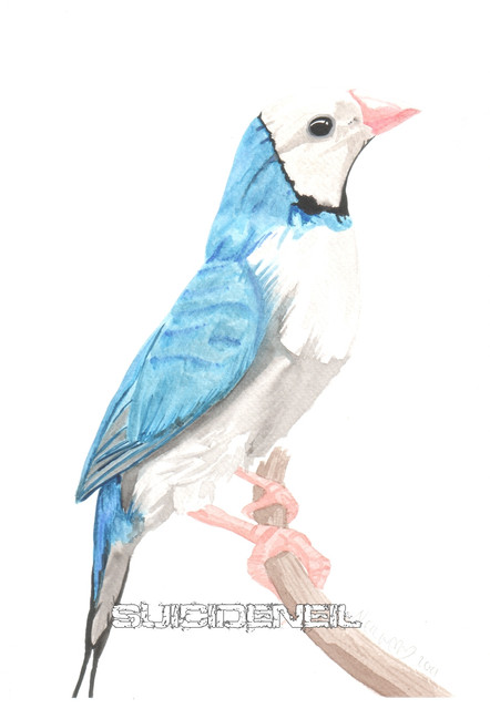 Painting16