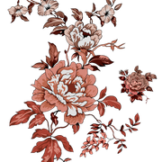 b1998c5f7c8ce63191d6cf5fdca8b588 (1)