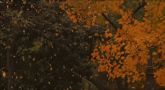 All Things Autumn