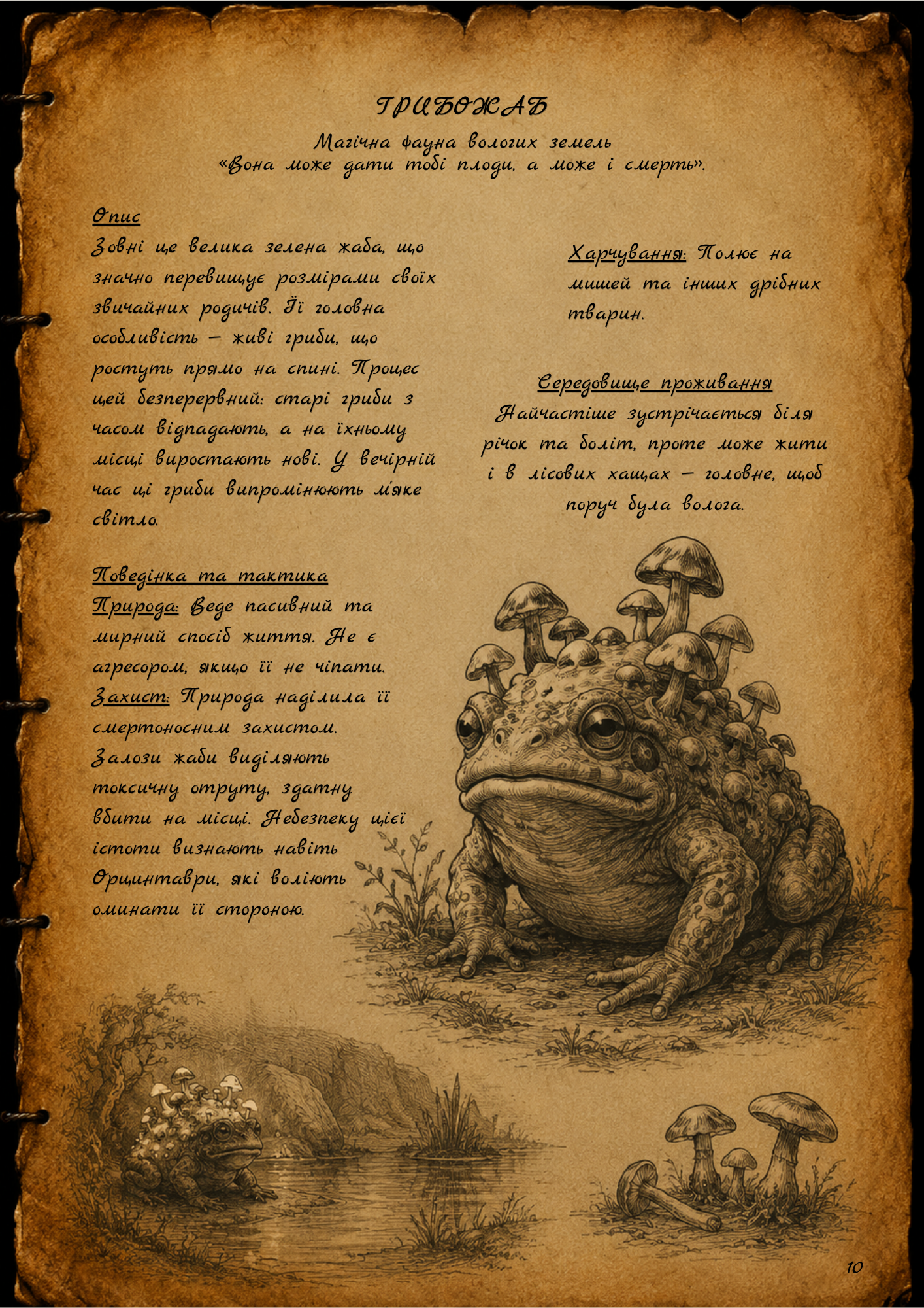 ГРИБОЖАБ (Mushroom Toad / Fungus Frog) Магічна фауна вологих земель «Вона може дати тобі плоди, а може і смерть».  Опис Зовні це велика зелена жаба, що значно перевищує розмірами своїх звичайних родичів. Її головна особливість — живі гриби, що ростуть прямо на спині. Процес цей безперервний: старі гриби з часом відпадають, а на їхньому місці виростають нові. У вечірній час ці гриби випромінюють м'яке світло. Поведінка та тактика Природа: Веде пасивний та мирний спосіб життя. Не є агресором, якщо її не чіпати. Захист: Природа наділила її смертоносним захистом. Залози жаби виділяють токсичну отруту, здатну вбити на місці. Небезпеку цієї істоти визнають навіть Орцинтаври, які воліють оминати її стороною. Харчування: Полює на мишей та інших дрібних тварин. Середовище проживання Найчастіше зустрічається біля річок та боліт, проте може жити і в лісових хащах — головне, щоб поруч була волога. Культура та медицина Гриби, що опадають зі спини Грибожаба, мають високу цінність для дослідників. Алхімія: Алхіміки збирають ці плоди для своїх досліджень та приготування складних магічних зілль. Орден Темного Ока: Культити ставляться до Грибожаба байдуже, сприймаючи його лише як ресурс. Інколи вони збирають гриби для своїх внутрішніх потреб, не вступаючи в прямий конфлікт з істотою. Зі спогадів очевидця «Скільки пам'ятаю, завжди бачив їх у лісі та біля озер. Люблю сидіти біля річки й слухати їхні співи, а гриби, що світяться на їхніх спинах, роблять ці вечори ще прекраснішими. Чув, що Кетрін пробувала їх дресувати... не знаю, чи вийшло в неї щось із того».