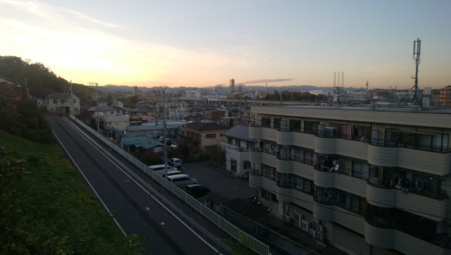 IMG-20221121-162024.jpg