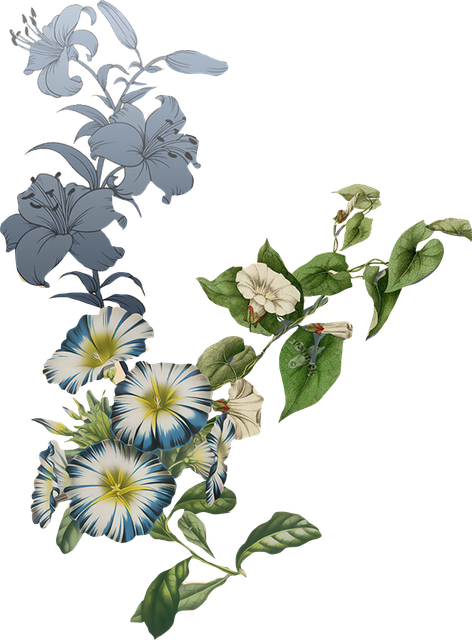 fc1be3b7893d67405c96c71fe2905cde.png