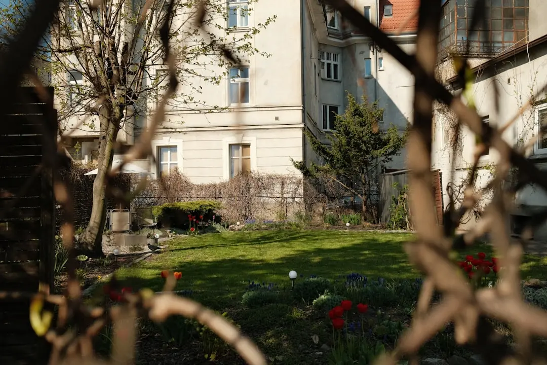 Oază de umbră: Grădina pădure a lui Yvonne Tsikata