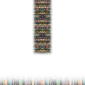 B1