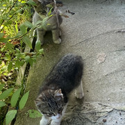 IMG-2624