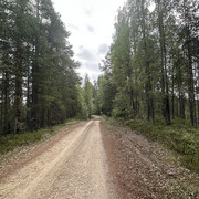 IMG 4548