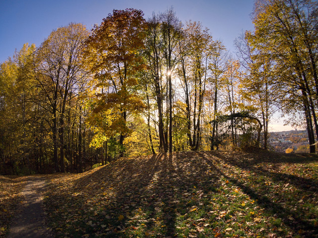 P1013239-E.jpg