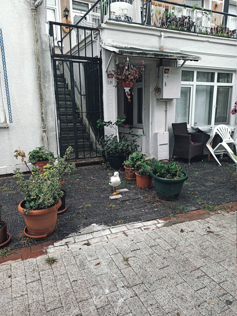 IMG 20260930 090914.jpg