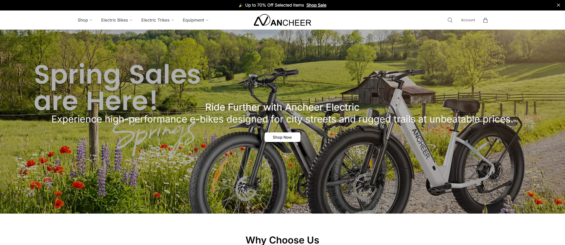 Stored capture of anchsport.shop
