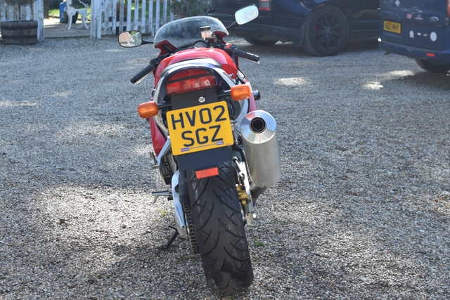 DSC 6517.jpg