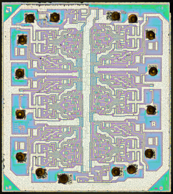 002 AMD.jpg