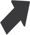 Booster Theme logo