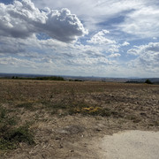 IMG 2621