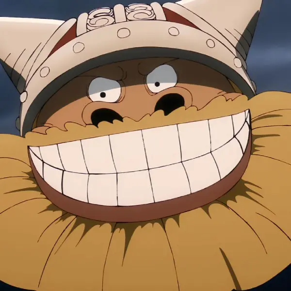 Brogy de One Piece