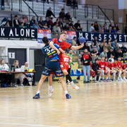 Kup SES GOR 20
