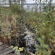 IMG 4652
