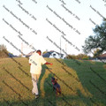 IMG 3009