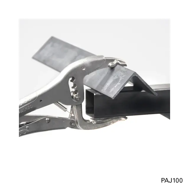 PAJ100-app2-jpg