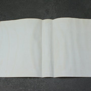 IMG-0027