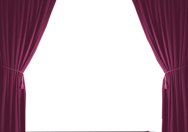CURTAIN 4.png