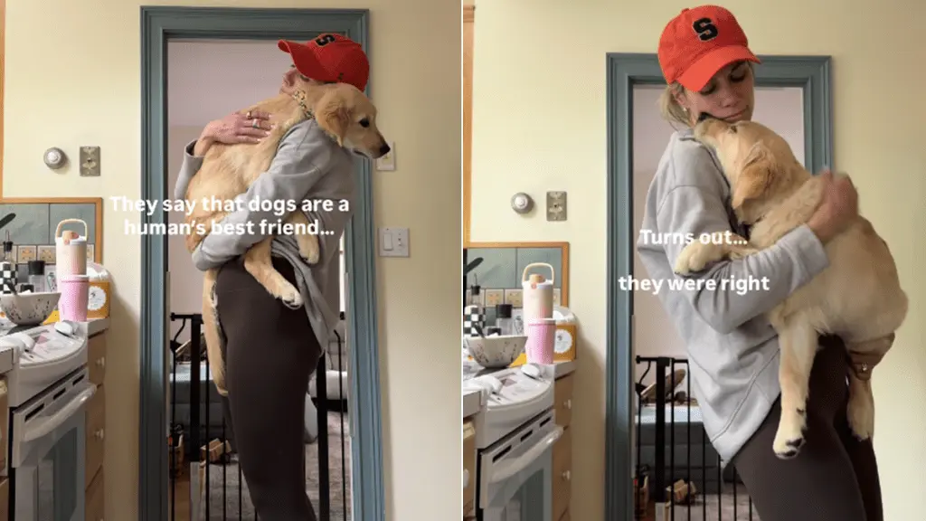 Puppy Finds Solace in Owner's Arms