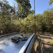 IMG 3487
