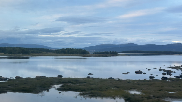 IMG 6007.jpg