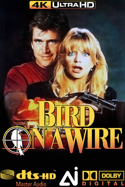 bird-on-a-wire